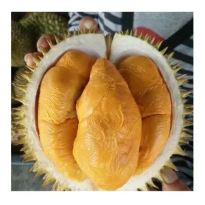 BIG SALE 2024 EXPORT FROZEN DURIAN FROM VIET NAM HIGH QUALITY 100% NATURAL
