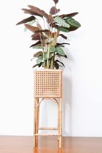 Support d'affichage élégant de pot de jardinière en rotin et en fer pour la maison, l'intérieur et l'extérieur. - Product Image 5