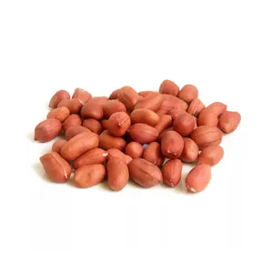 Atacado Barato Amendoim Cru Nuts Embalagem Bulk Dried Peanut Kernel