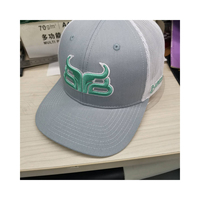 Gorras de Béisbol Personalizables de 5 Paneles, Nuevo Diseño Deportivo, Estilo de Imagen en Tela Común, Logotipo Bordado en 3D con Contraste
