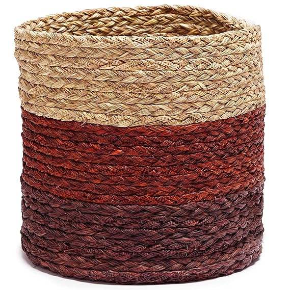 ตามที่แสดง