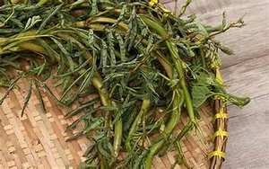 LIMPIA ETIQUETA AGUA CONGELADA MIMOSA NATURAL FINCA COSECHA PARA APOYO INMUNE Y BIENESTAR - Product Image 5