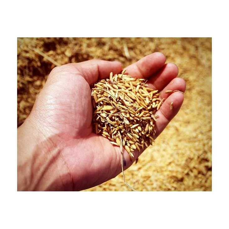 Corn Grain, Wheat Bran, Make Yeast 60% For Animal Feed
