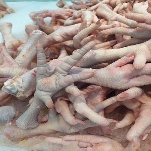 Pies de pollo congelados de alta calidad con procesamiento limpio a la venta disponible entrega rápida al por mayor comprar hoy en stock - Product Image 5