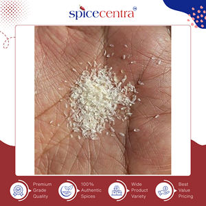 Poudre de psyllium brute séchée biologique pure à 100 %, 99 % (blanc ordinaire), épice de cuisine de haute qualité, marque Spicecentra, fabricant indien - Product Image 3