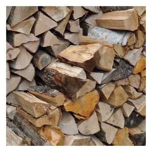 Fuerte leña chempedak disponible para comercio al por mayor y proyectos de energía industrial - Product Image 6