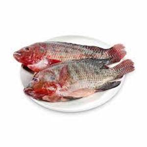 Tilapia congelada de grado A Proveedores internacionales Comprar tilapia congelada de grado A directa - Product Image 3