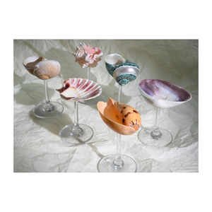 Vasos de concha, cristalería elegante adecuada para batidos, bebidas y postres, presentación de Vietnam - Product Image 6