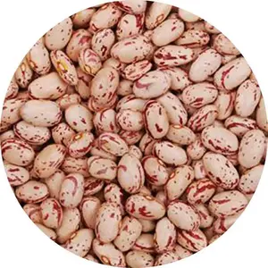 Moisture 15% Max Grains Health Newest Crop Food Long Shape Round Ship Round Light Speckled Kidney Pinto Beans