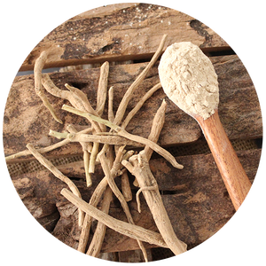 Polvo de Ashwagandha orgánico a granel, venta al por mayor, extracto de raíz de Withania Somnifera, etiqueta privada OEM disponible - Product Image 6