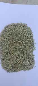 Graines de fenouil crues séchées égyptiennes de qualité supérieure pour le marché d'exportation européen - Product Image 3