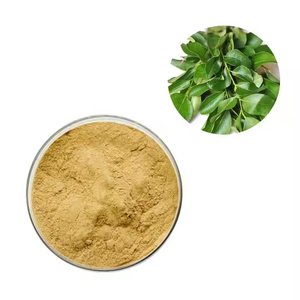 Murraya koenigii ผงกะหรี่อินเดียบริสุทธิ์และสดสกัดจากพืชสำหรับสูตรแกง - Product Image 1