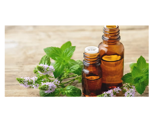 High Quality Natural Mint Essential Oil in Bulk Refined Oil for <b>Cooking</b> Available in Drum Packaging Trusted Supplier Price - Product Image 4