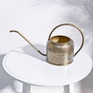 Arrosoir doré brillant, un essentiel de jardin, arrosoir doré luxueux pour des fleurs éclatantes - Product Image 5