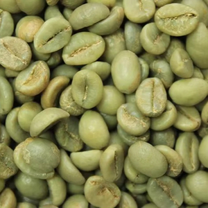 Granos de Café Verde Arábica Orgánico de Vietnam S18 Grado Alto AA+ 100% Natural Certificado por el USDA TNFOOD Bolsas Pedido al por Mayor de 24 Meses - Product Image 1
