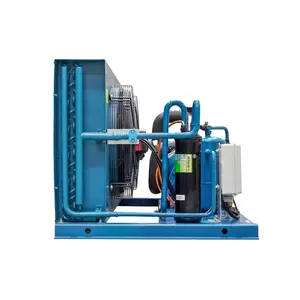 Global Supplier Widely Selling Top Performance Water-Cooled/ Air Cooled Automatic Cold Room Condensing Unit Chillers