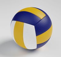 RX Yüksek Kaliteli Özel PVC Şişme Voleybol Topu - Dayanıklı Çevre Dostu Ayarlanabilir Kapatma Özelleştirilmiş Paketleme Antrenman İçin