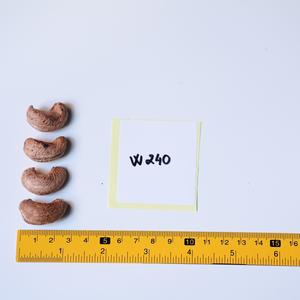 Venta al por Mayor de Nueces de Anacardo Orgánicas Premium Tostadas con Cáscara, 10 kg, Certificación ISO, en Lata Metálica - Product Image 6