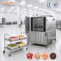Lyophilisateur alimentaire certifié CE en acier inoxydable SUS304 pour la séchage des fruits (fraises, mangues, myrtilles)