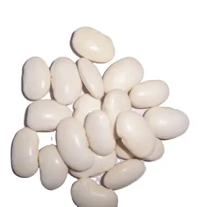 wholesale Large White Kidney Beans for sale Raw Dry White Beans available for wholesale