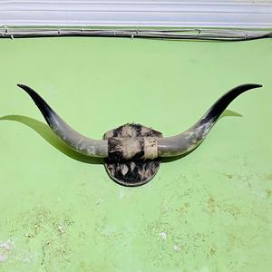 Worldcraft impex โคมไฟเกลือติดผนังรูปเขาควายแกะสลักทำด้วยมือ - Product Image 6