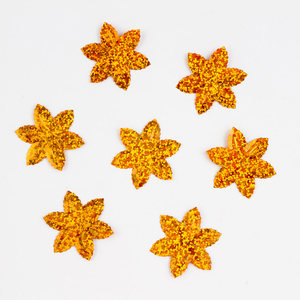 เลื่อมพิเศษรูตรงกลางขนาดเล็กสีโฮโลแกรม selanusa POA0016933เม็กซิโก - Product Image 1