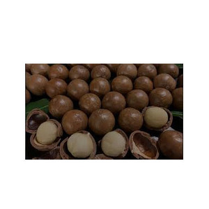 Alimentos saludables, nueces de macadamia con cáscara, polvo de Maca tostado salado crudo, polvo de Maca nutritivo de estilo seco - Product Image 4