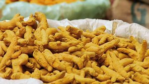100% Natural Sun <b>Dried</b> Turmeric Finger Premium Raw Turmeric Roots Bulk Supply for Culinary Food Processing and <b>Plant</b> Based - Product Image 6