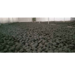 Briquettes de charbon de bois de coque de noix de coco de qualité export pour barbecue, grillades et chicha disponibles au prix direct usine - Product Image 1