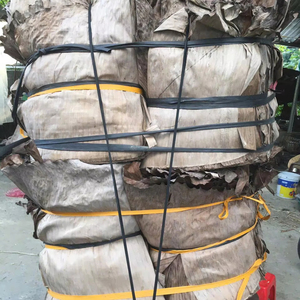 Hojas de plátano secas y frescas para exportación Material de papel de grado alimenticio para almacenamiento congelado Mejor precio - Product Image 1