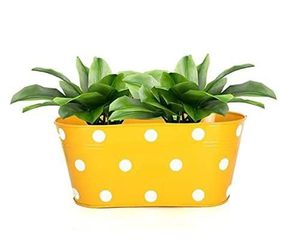Hot Sale Garden Products Galvanized Flower <b>Pot</b> Oval Shape Home Decors New Design Metal Planter Wholesale Manufacturer Supplier - Product Image 4