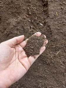 Fertilizante orgánico a base de estiércol de pollo para el acondicionamiento del suelo, compost, rejuvenecimiento del jardín, suministro de soporte para el crecimiento de plantas agrícolas - Product Image 4