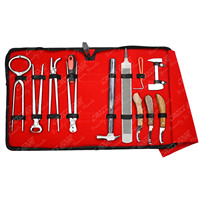Kit d'outils de maréchal-ferrant professionnel coupe couteau à sabot testeur de sabot en acier 14 pouces pince de retrait des ongles râpe en acier