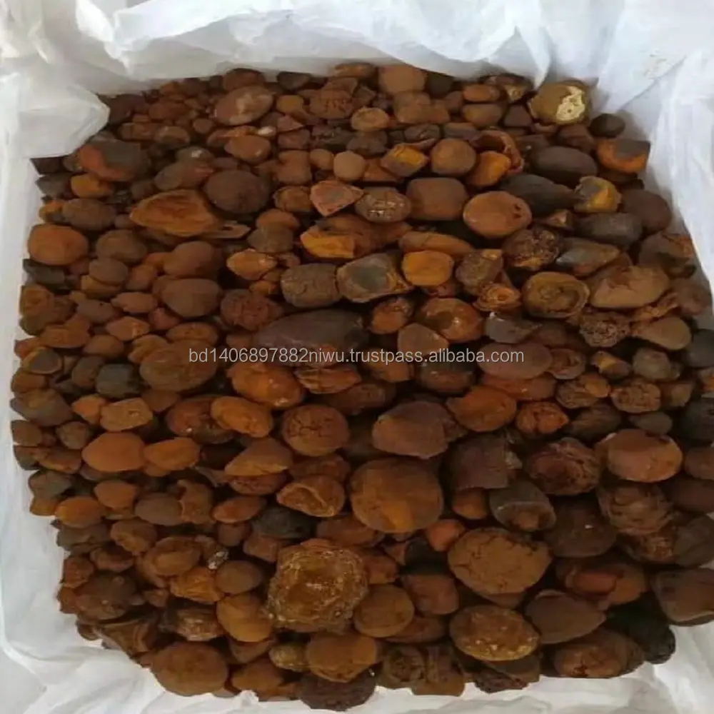 100% whole and broken ratio OX/COW Gallstone in stock obtained from disease free cattle from Bangladesh