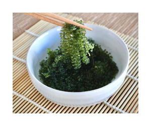 องุ่นทะเลอบแห้งจากเวียดนามเหมาะสำหรับสลัดซูชิและอาหารทะเล - Product Image 2