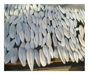 Hueso de sepia al por mayor de Vietnam/hueso de calamar natural seco para pájaros y mascotas, envío directo de fábrica con oferta competitiva - Product Image 1