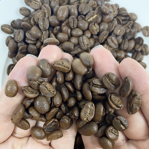 กาแฟเวียดนาม โรบัสต้า เมล็ดคั่วเต็มเมล็ด เหมาะสำหรับผู้นำเข้าในสหภาพยุโรป สหรัฐอเมริกา และสหรัฐอาหรับเอมิเรตส์ พร้อมรับผลิตแบบ OEM - Product Image 2