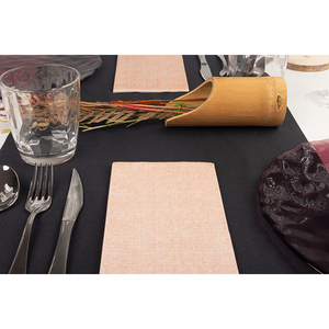 Serviettes blanches 48x48cm imprimé Capri Terracotta pliées 1/8 Bambulux Eco 300pcs B2B - Product Image 5