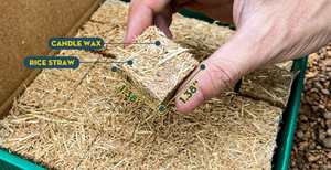 El Mejor Encendedor de Leña para una Ignición Rápida y Segura de Carbón de Bambú para Aplicaciones de Barbacoa - Product Image 6
