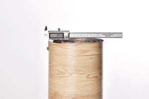 ปูพื้นพีวีซีแบบม้วน <span class=keywords><strong>ติด</strong></span><span class=keywords><strong>ตั้ง</strong></span>ง่าย ราคาประหยัด ทนทานต่อการสึกหรอ ทำความสะอาดง่าย เหมาะสำหรับงานเช่าและปรับปรุง - Product Image 6