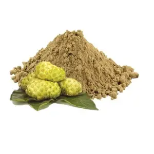 印度批发价格的顶级纯有机草药补充剂诺丽水果提取物粉