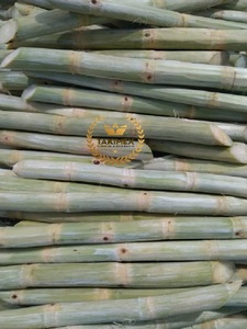 เวียดนาม iqf แช่แข็งอ้อยไร้ผิว18 C 24เดือนอายุการเก็บรักษา20กก. ต่อกล่อง - Product Image 5