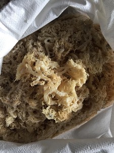 สาหร่ายทะเลไอริชสำหรับสลัดทะเลทำความสะอาดสาหร่าย Eucheuma cottonii สาหร่ายเกรดขนาดใหญ่ราคาดีวันนี้ - Product Image 2