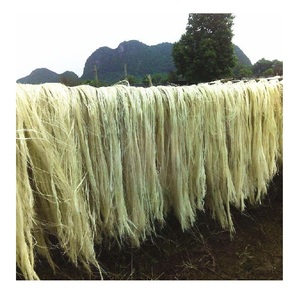 เส้นใยไซซอลธรรมชาติ 100% / เส้นใยไซซอลดิบจากโรงงาน / เชือกเส้นใยไซซอล - Product Image 3