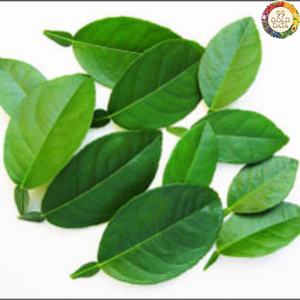 Feuilles de citron séchées à l'arôme intense du Vietnam pour l'assaisonnement culinaire et la préparation des aliments utilisant une source de feuilles séchées - Product Image 6