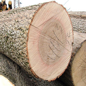 Bûches de bois, spécifications standard, durée de conservation de 24 mois, fabricant agricole - Product Image 1