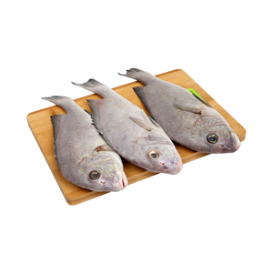 Proveedor mayorista de stock a granel de pescado snapper blanco entero congelado. Envío rápido. - Product Image 6