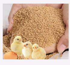 MEZCLA BOTÁNICA POLVO DE HARINA DE AVES - Product Image 2