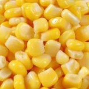 Maïs sucré en conserve frais - Product Image 1