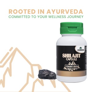 Cápsulas de Shilajit naturales tradicionales más vendidas Suplemento del Himalaya para la vitalidad y el bienestar corporal disponible al mejor precio - Product Image 5
